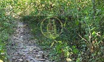 Imagem 7: Sitio no Braço!