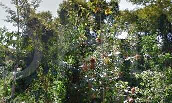 Imagem 3: Terreno à venda no bairro Maria Paula - São Gonçalo/RJ (401