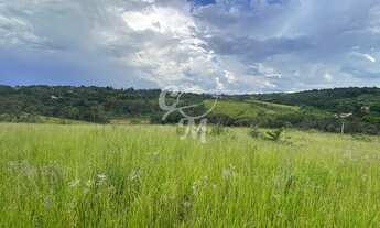 Imagem 2: Terreno Maravilhoso!, 41000M² de Área Construída na Avenida Humberto Cereser