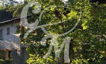 Imagem: Sítio em Pau Arcado