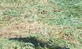 Imagem 2: Terreno na divisa de Jundiaí e Várzea Paulista