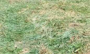 Imagem 5: Terreno na divisa de Jundiaí e Várzea Paulista