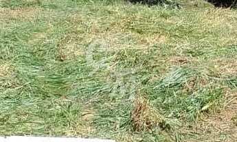 Imagem: Terreno na divisa de Jundiaí e Várzea