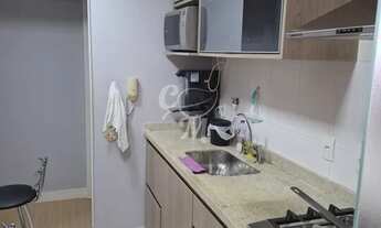 Imagem 5: Lindo AP no Engordadouro