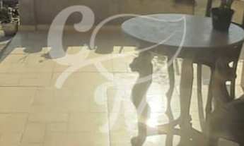 Imagem: Chácara com 2000m - Guararema