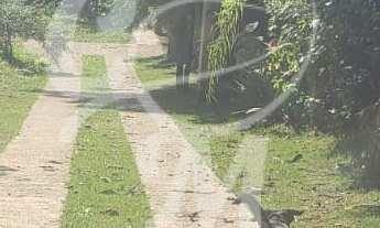 Imagem 2: Chácara com 5.000 m² em Medeiros