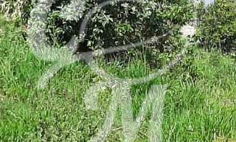 Imagem 7: Terreno Lote - Cabreúva