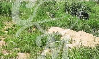 Imagem 3: Terreno Lote - Cabreúva