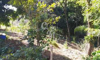 Imagem 7: Terreno COM MAIS DE 3 MIL METROS Cafezal III