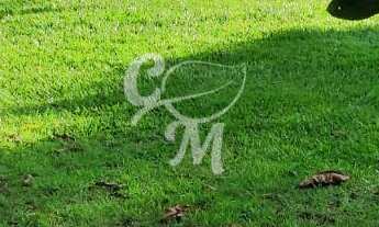 Imagem: Chácara com muito verde na Roseira