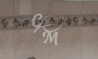 Imagem 6: Apartamento 3 Dormitórios