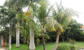 Imagem 6: Linda Chácara em Itupeva