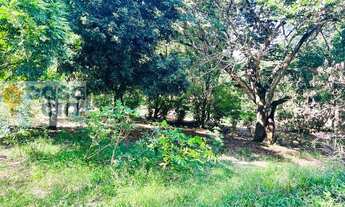 Imagem 4: Fazenda à venda no bairro Centro - São José da Varginha/MG