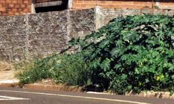Imagem 2: Terreno em Centro, Presidente Epitácio/SP