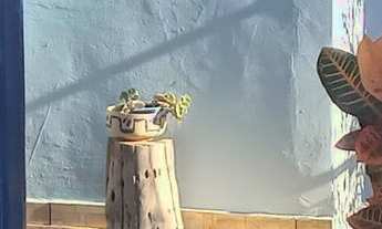 Imagem: Casa à Venda em Presidente Epitácio