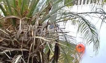 Imagem 7: Imóvel Comercial para Alugar no Tatuapé