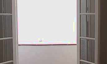 Imagem: Excelente Apartamento reformado com 46 m²