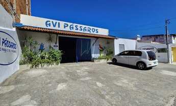 Imagem: Prédio comercial à venda no bairro Pereira