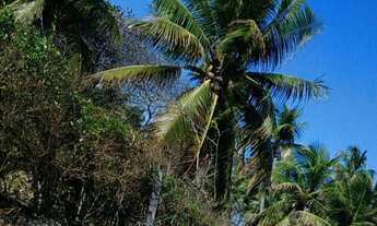 Imagem 4: Condomínio Busca Vida - Terreno Lote - Condomínio Busca Vida