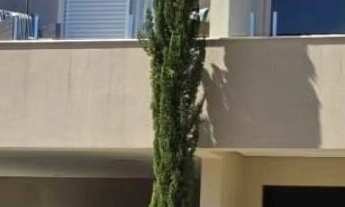 Imagem: Sobrado Alto Padrão Condomínio Ibi Aram