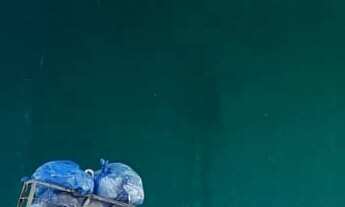 Imagem: Casa Padrão - SETOR CAMPINAS