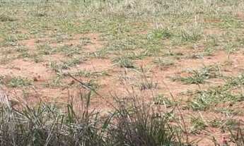 Imagem: Área Residencial/Comercial, na Rua 7