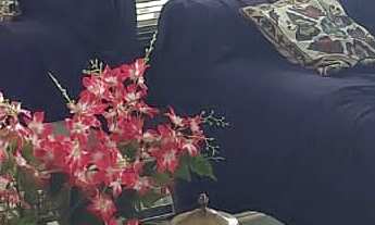 Imagem 5: CASA COMERCIAL E RESIDENCIAL - SETOR BUENO COM 749 M² LOTE