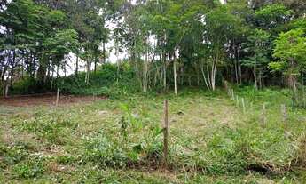 Imagem: Excelente Terreno Rural com 500m² no Morro