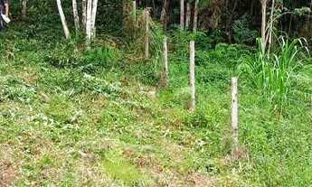 Imagem 2: Excelente Terreno Rural com 500m² no Morro do Gato em Palhoça/SC: NÃO ACEITA TROCAS!