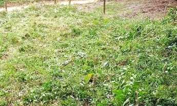 Imagem 5: Excelente Terreno Rural com 500m² no Morro do Gato em Palhoça/SC: NÃO ACEITA TROCAS!