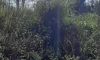 Imagem: Terreno na Praia do Sol em Laguna - 160