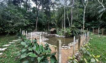 Imagem 3: Deslumbrante Sítio com 3 Casas - Bairro São Sebastião em Palhoça/SC