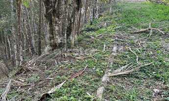 Imagem: GRANDE TERRENO DE 12.292,76m²