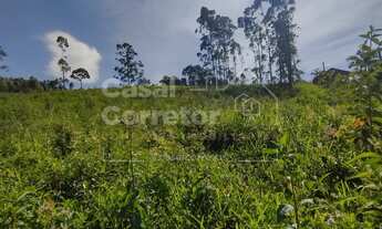 Imagem: TERRENO DE 4.200m² NO LIMOEIRO
