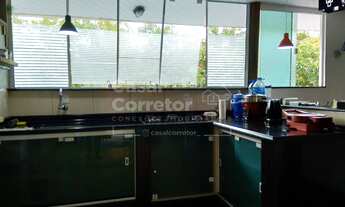 Imagem 7: ESPAÇOSA CASA COM PISCINA E POMAR EM BAIRRO COMPLETO