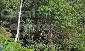 Imagem: TERRENO AMPLO COM 399,20m² EM LOTEAMENTO