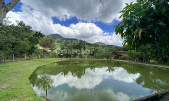 Imagem 6: LINDO SITIO COM 50.000m² COM PLANTAÇÕES