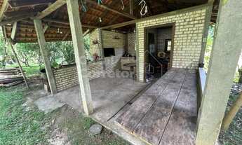 Imagem 4: LINDO SITIO COM 50.000m² COM PLANTAÇÕES