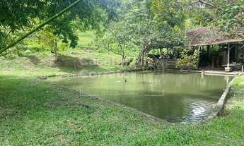 Imagem 7: LINDO SITIO COM 50.000m² COM PLANTAÇÕES