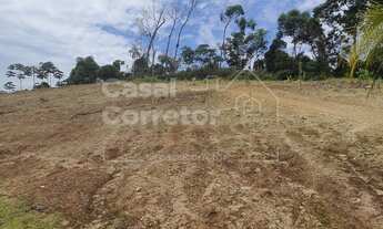 Imagem 4: TERRENO PLANO DE 338m²