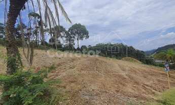 Imagem 5: TERRENO PLANO DE 338m²