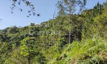 Imagem: TERRENO COM UMA ÁREA DE 1.226m² EM CONDOMÍNIO