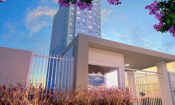 Imagem: Jardim do Carmo Orquídea