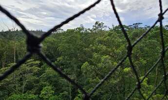 Imagem 5: Reserva das Palmas