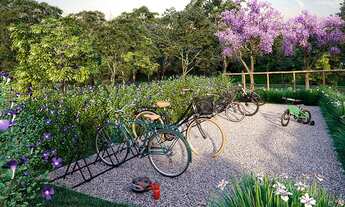 Imagem 5: Parque do Carmo Lososuke IV