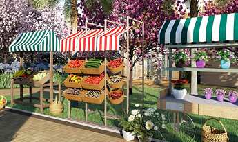 Imagem 4: Parque do Carmo Lososuke IV