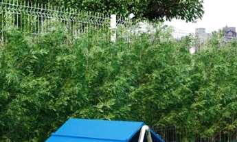 Imagem 5: Portal Vila Prudente - Vila Sapopemba São Paulo