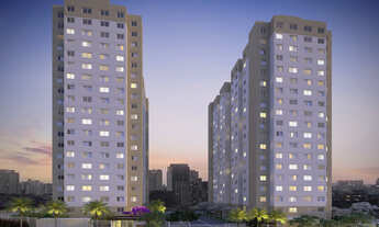 Imagem 2: Jacu Pêssego Augusto C. Bauman II