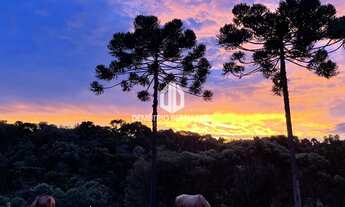 Imagem: Chácara à venda no bairro Serrinha - Campo