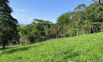 Imagem 3: Lindíssima área no morro da Encantada com escritura e uma bela vista